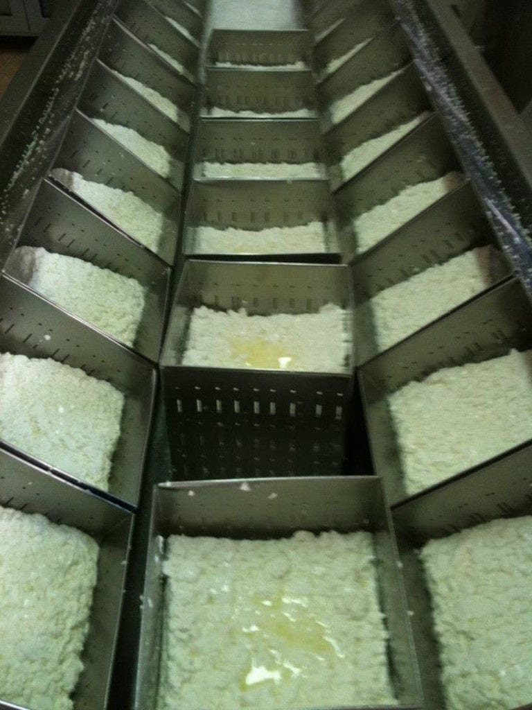 view from above of part of dairy machine with fresh white cheeses on wat at 'Vasilas Dairy' plant